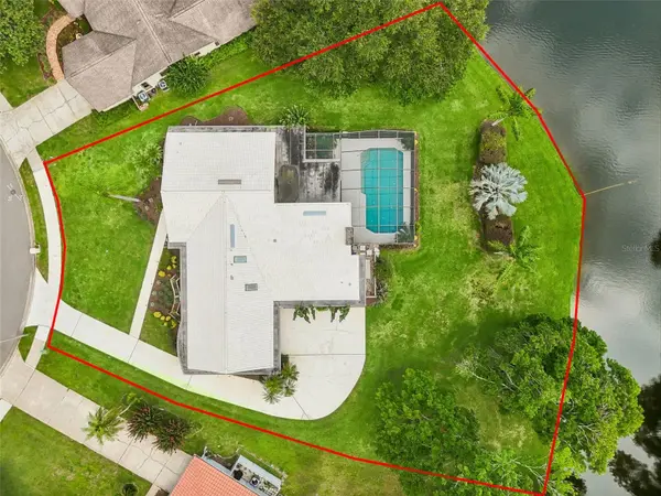 2364 VIOLET PL, Palm Harbor, FL 34685