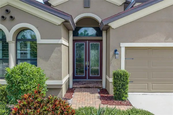 6904 EBB TIDE AVE, Apollo Beach, FL 33572