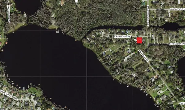 14328 CHISHOLM LN, Odessa, FL 33556