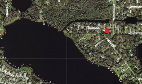 14328 CHISHOLM LN, Odessa, FL 33556