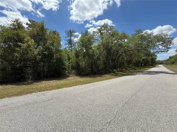 LEWIS LN, Webster, FL 33597