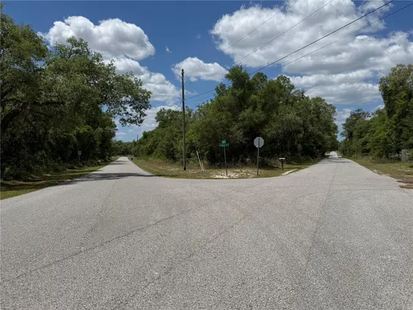 LEWIS LN, Webster, FL 33597