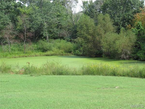 101 Country View LN, Leasburg, MO 65535