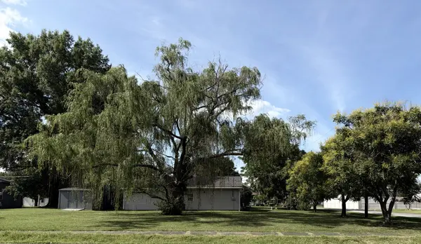502 W Cherry AVE, Christopher, IL 62822