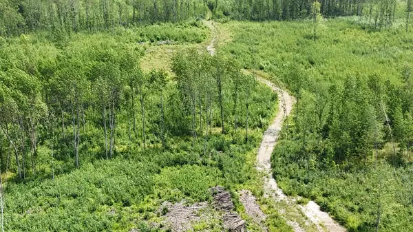 17 E TBD County Road, Mizpah, MN 56660