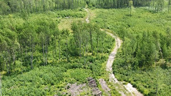 17 E  TBD County Road, Mizpah, MN 56660
