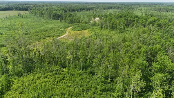 17 E TBD County Road, Mizpah, MN 56660