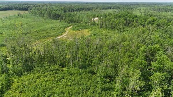 17 E TBD County Road, Mizpah, MN 56660
