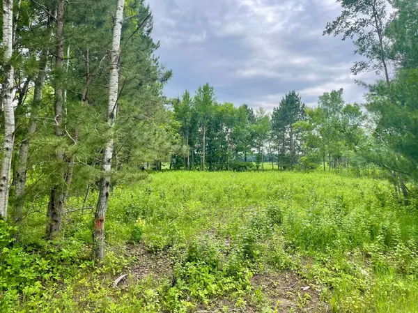 TBD Pacer DR, Browerville, MN 56438