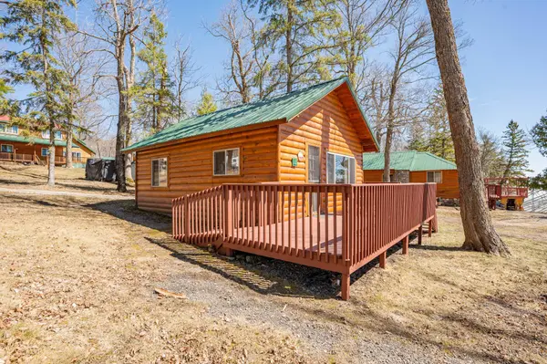 49231 County Road 173 #Cabin 3, Deer River, MN 56636