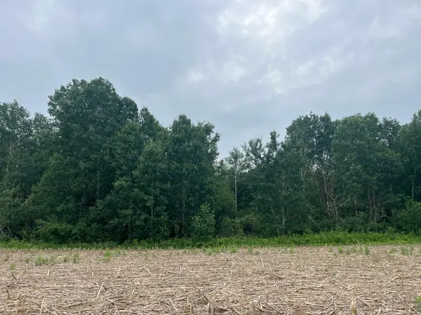 TBD (Lot 2) Hemingway AVE, North Branch, MN 55056