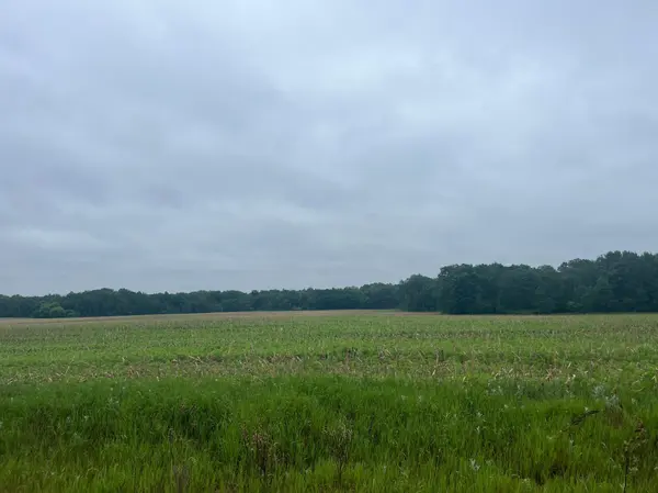 TBD (Lot 3) Hemingway AVE, North Branch, MN 55056