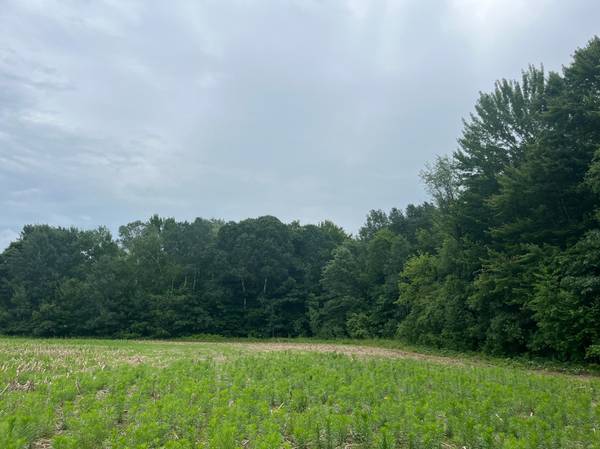 TBD (Lot 4) Hemingway AVE, North Branch, MN 55056