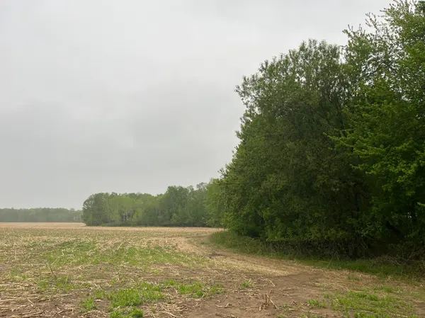 TBD (Lot 4) Hemingway AVE, North Branch, MN 55056
