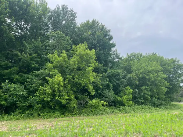 TBD (Lot 4) Hemingway AVE, North Branch, MN 55056