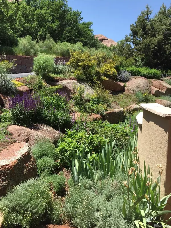 9193 S Buffalo DR, Littleton, CO 80127