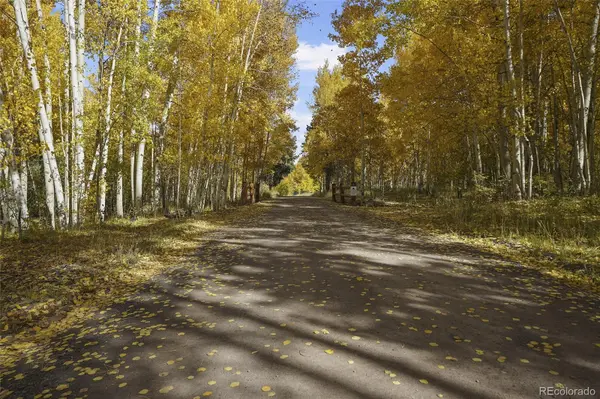 136 Elk Meadow RUN, Antonito, CO 81120