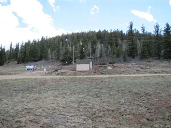 122 Coach LN, Hartsel, CO 80449