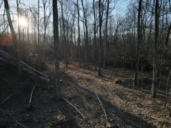0 Hurricane Creek Road, Stewart, TN 37175