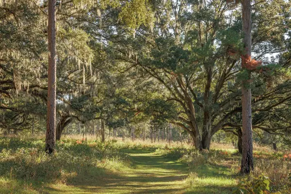 9700 Old Magnolia Road, Tallahassee, FL 32309