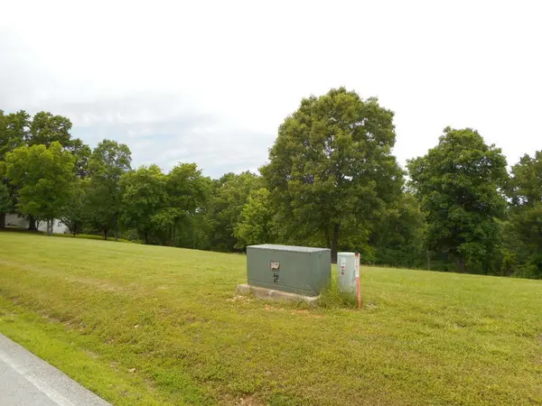 Lot 16 Mule Barn Drive, Cape Fair, MO 65624
