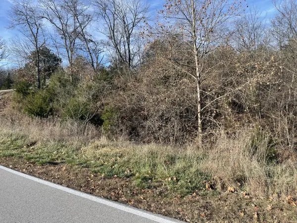 Lot 206 Black Forest Lane,  Reeds Spring,  MO 65737