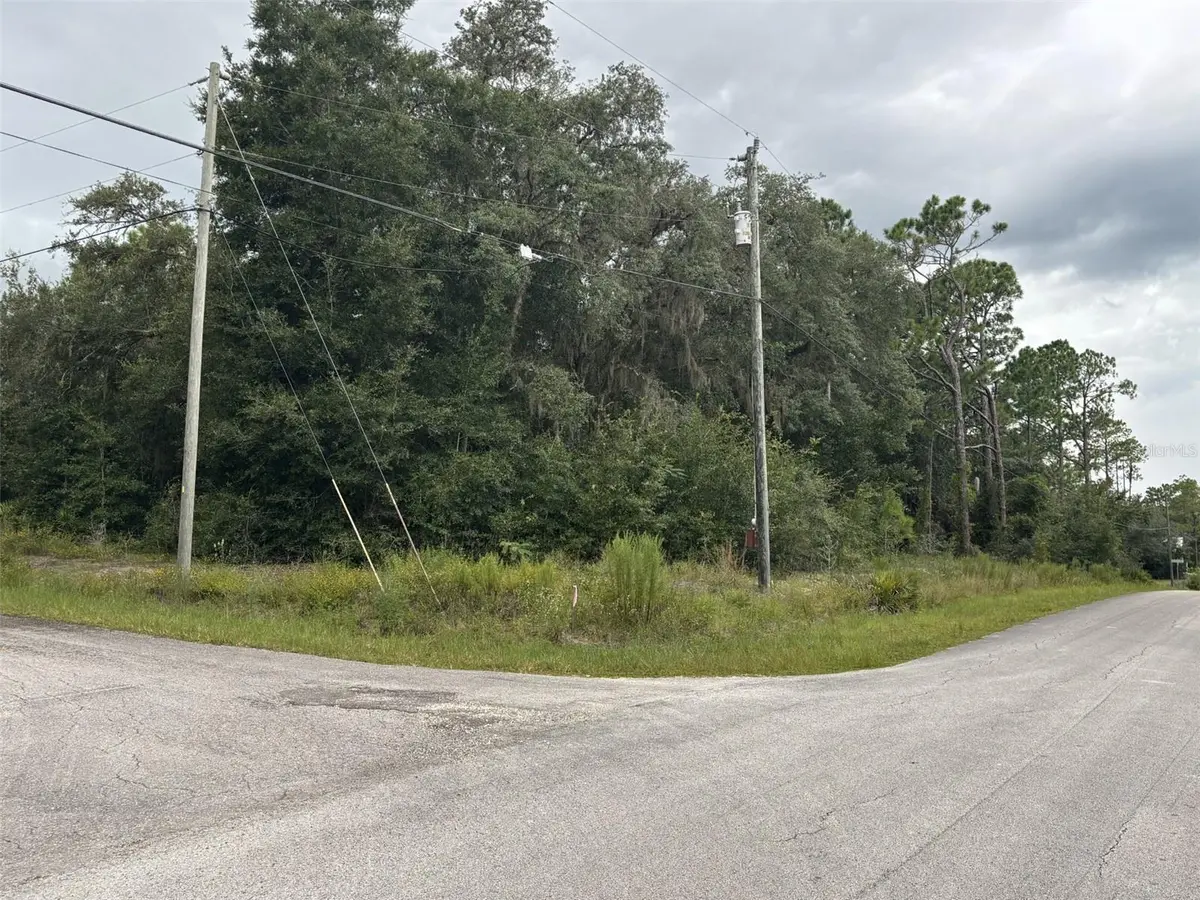 0 SW SOUTH WIND CT, Dunnellon, FL 34431