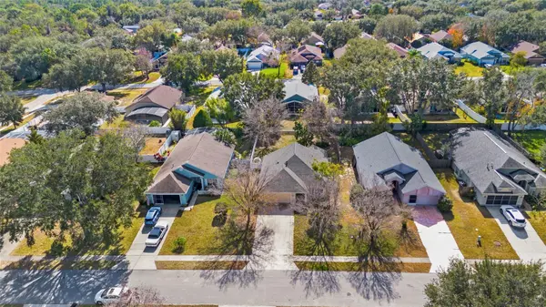 10314 PATRICK DR, Leesburg, FL 34788
