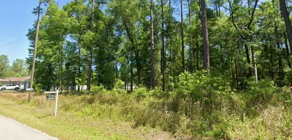 0 SE 159TH CT, Ocala, FL 34481