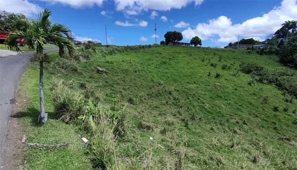 PR 749 KM 0.2 LOT 3 QUEBRADA GRANDE WD, Barranquitas, PR 00794