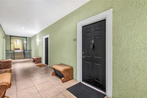 1810 E PALM AVE #6204, Tampa, FL 33605