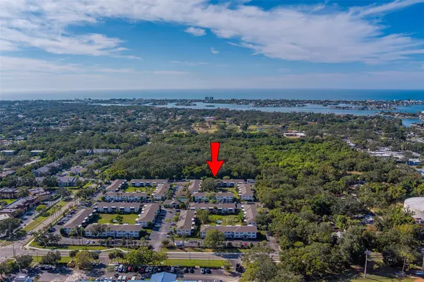 13125 WILCOX RD #16105,  Largo,  FL 33774