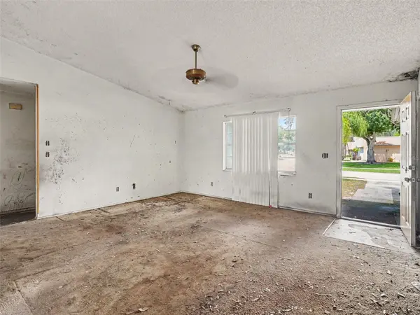 11329 BLACKBARK DR, Riverview, FL 33579