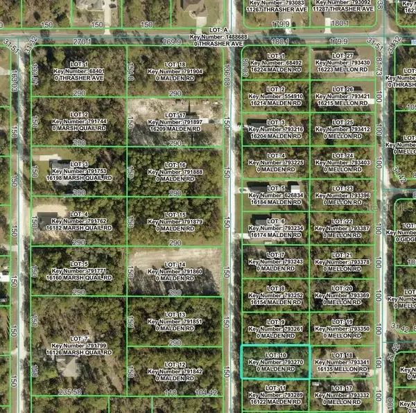 MALDEN RD, Weeki Wachee, FL 34614