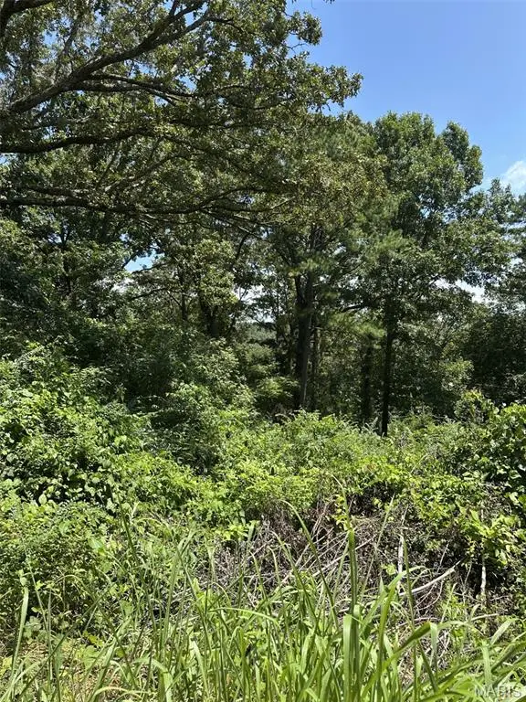 Plat 9 Lot 15, 19 and 22 Deer Run, Van Buren, MO 63965