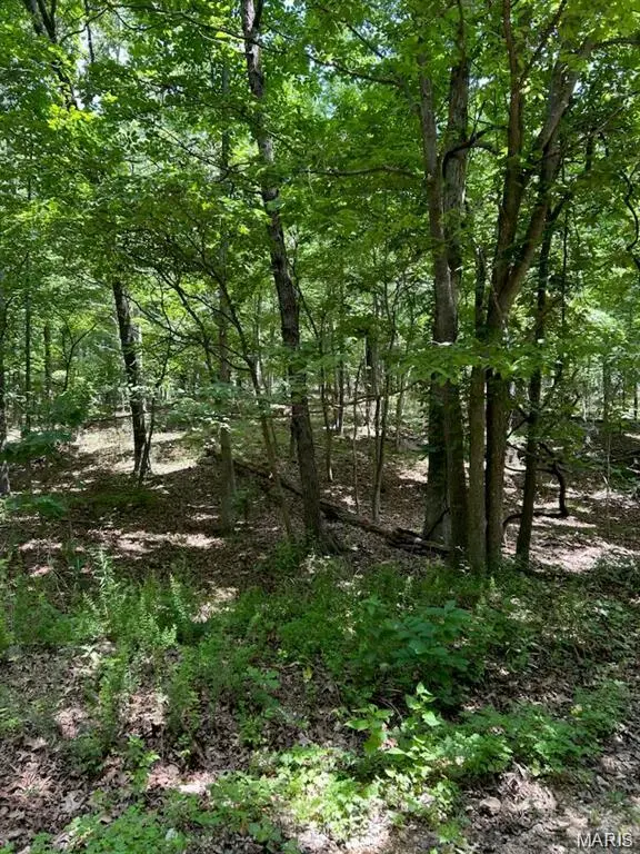 0 Hargrove RD, Dixon, MO 65584