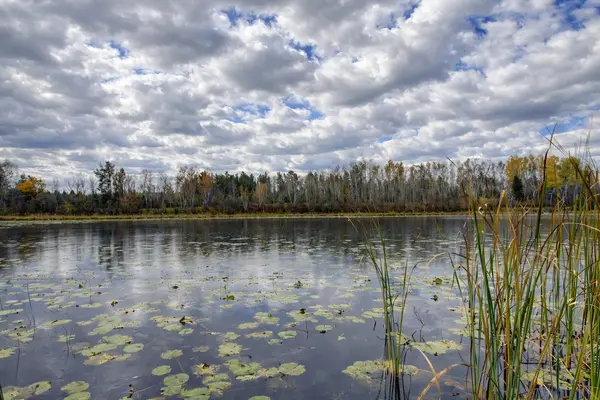 10675 County 41, Park Rapids, MN 56470