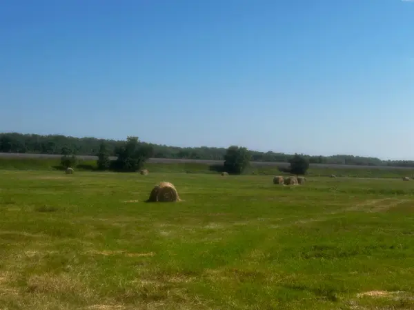 tbd Hwy 77, Wadena, MN 56482