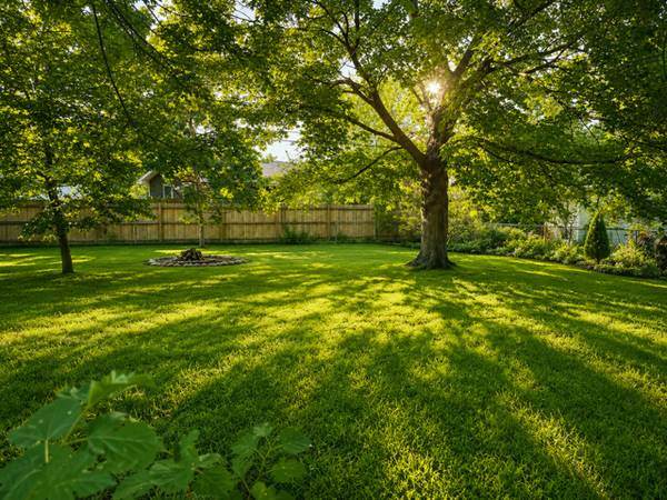 841 W Moore Lake DR, Fridley, MN 55432