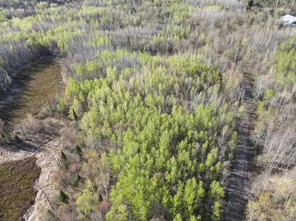 101 Baich DR, Coleraine, MN 55722