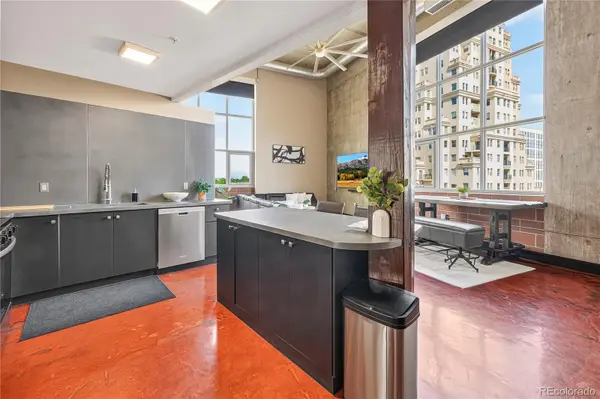 1050 Cherokee ST #301, Denver, CO 80204