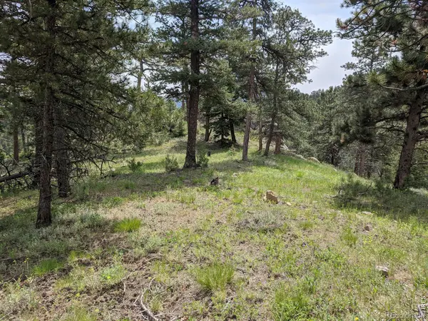 1312 Chute RD, Golden, CO 80403
