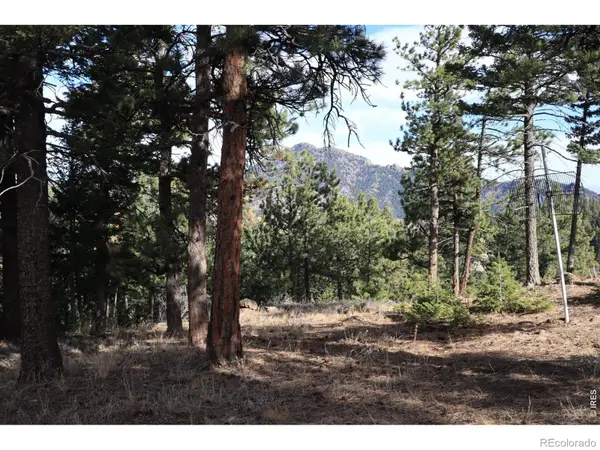 1312 Chute RD, Golden, CO 80403