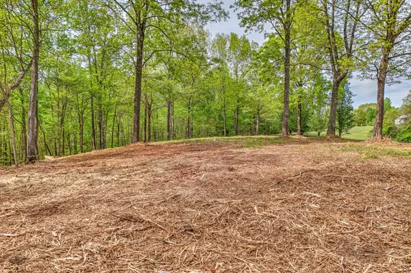 0 RBK Lane, Bethpage, TN 37022