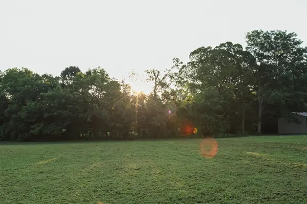 4518 Dry Fork Rd, Hampshire, TN 38461