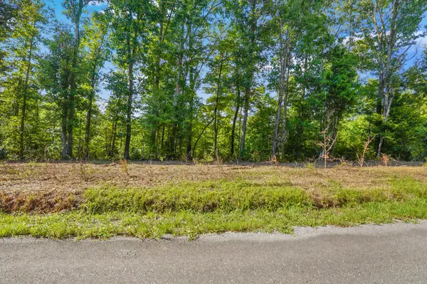 7 Selph Rd, Stewart, TN 37175