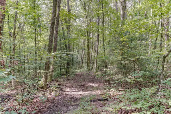 484 Deer Lick Trail, Monteagle, TN 37356