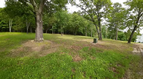 Lot 3 Rest Haven Lane, Blue Eye, MO 65611
