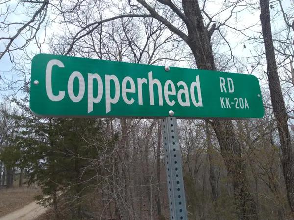 Lot 1 Copperhead Road, Cedarcreek, MO 65627