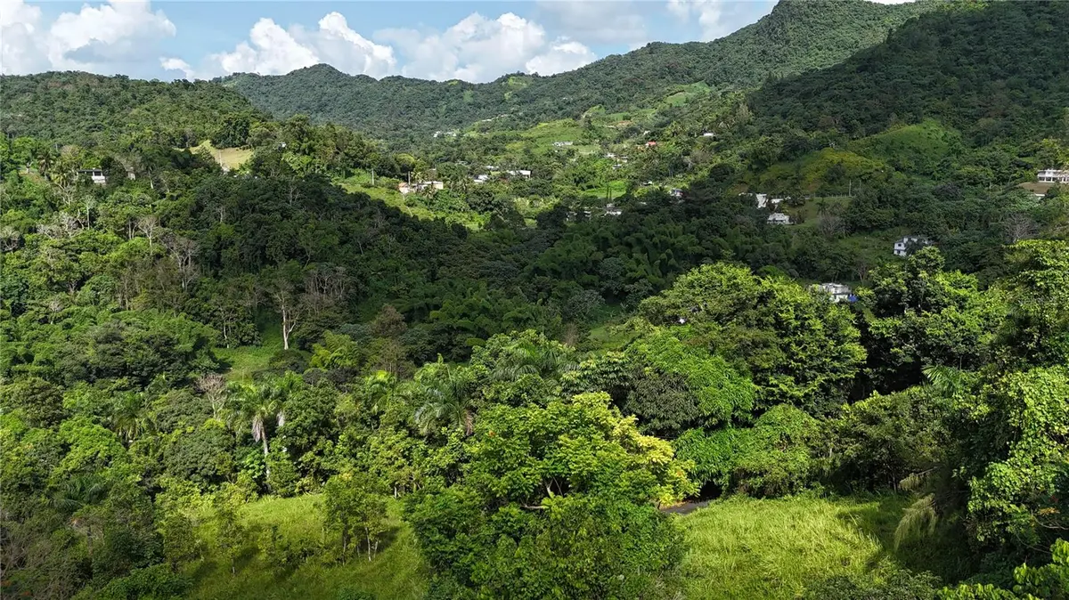 Km 8.0 Int. PR-765 BO. SAN SALVADOR, Caguas, PR 00725